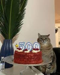Stepan cat Meme Template