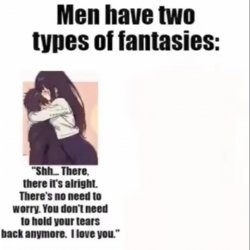 Men only have two types of fantasies Meme Template
