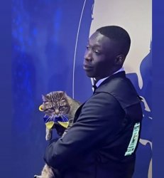 Stepan cat Meme Template