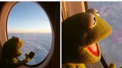 Kermit Vacation Flight Meme Template