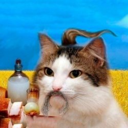 Ukrainian cat with oseledets Meme Template