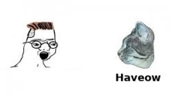 Haveow Meme Template