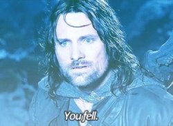 Aragorn You fell Meme Template