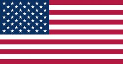 American Flag Meme Template
