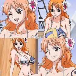 nami Meme Template