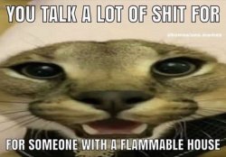 you talk a lot of shit for someone with a flammable house Meme Template