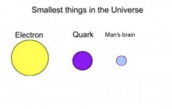 Smallest things in the universe Meme Template