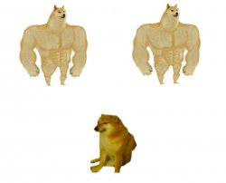 2 buff dog with 1 small dog Meme Template
