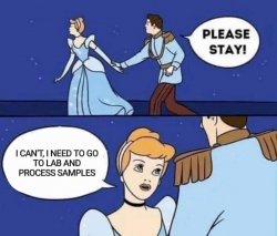 Cinderella Can't Stay Meme Template