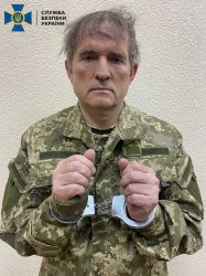 The arrest of Medvedchuk Meme Template