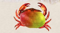 Mango crab Meme Template