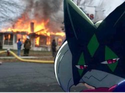 Meowscarada Arson Meme Template