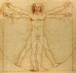 Leonardo da Vinci Vitruvian Man Meme Template