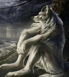 Aukaat dikha di Meme Template