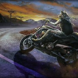 Wolf on motorcycle Meme Template