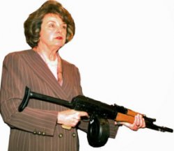Dianne Feinstein Meme Template