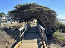 Healing journey Meme Template