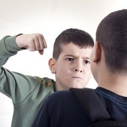 Aggressive Child Behavior - Fighting in School and at Home Meme Template