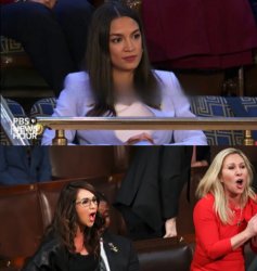 AOC Boebert MTG Meme Template