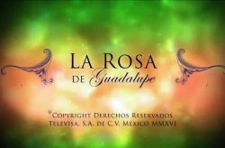 Logo La rosa de Guadalupe entrada logo Meme Template
