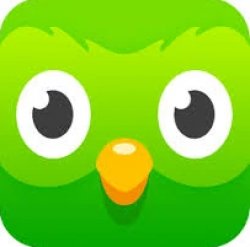 Duolingo App Icon (2013-2019) Meme Template