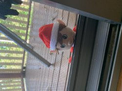 You stalking me rn bro Meme Template