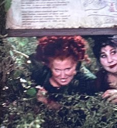 Hocus-pocus! Meme Template