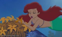 ariel picking flowers Meme Template