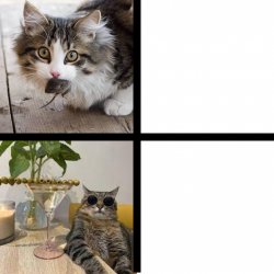 Stepan cat Meme Template