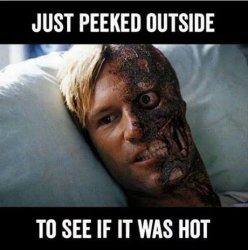 JUST PEEKED OUTSIDE T0 SEE IF IT WAS HOT Meme Template
