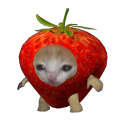 Strawberry Cat Meme Meme Template