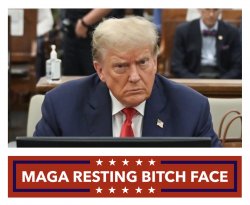 MAGA Resting Bitch Face Meme Meme Template