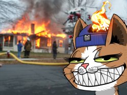 Disaster Mars Cat Meme Template