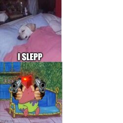 Sleeping guy Meme Template