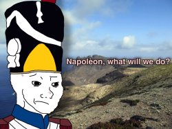 Napoleon, what will we do? Meme Template