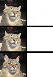 Stepan cat Meme Template