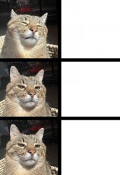 Stepan cat Meme Template