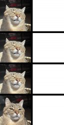 Stepan cat Meme Template