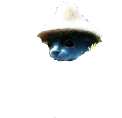 blue smurf cat Meme Template