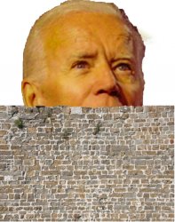 Wall builder biden Meme Template