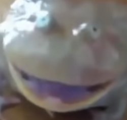 Happy frog Meme Template