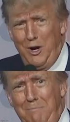 Donald Trump Meme Template