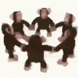 monkey circle Meme Template