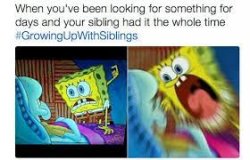 funny Meme Template