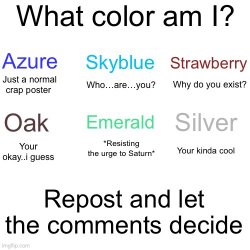 What color am I (My version) Meme Template