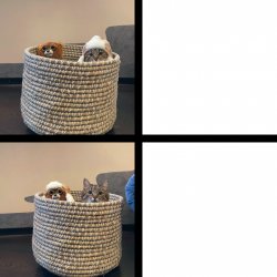 Stepan cat Meme Template