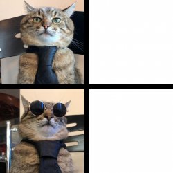 Stepan cat Meme Template