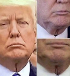 Trump neck Meme Template