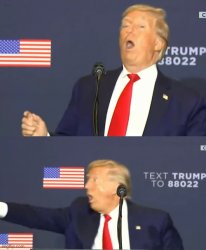 Donald Trump Meme Template