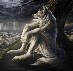 Aukaat dikha di Meme Template